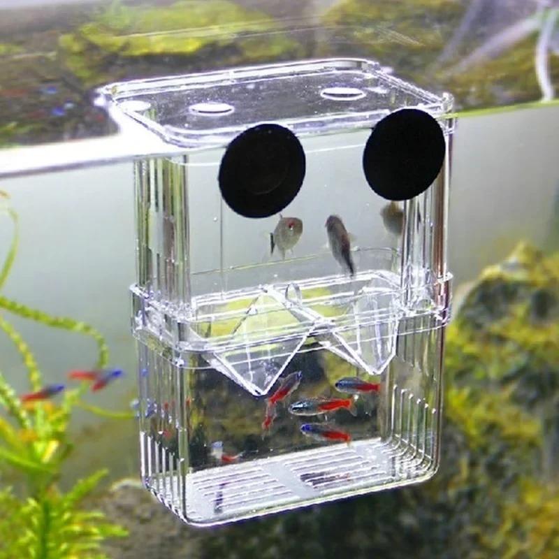 Aquarium Fish In Bowl - Transparente Fisch Aquarium Hohe Klare Zucht