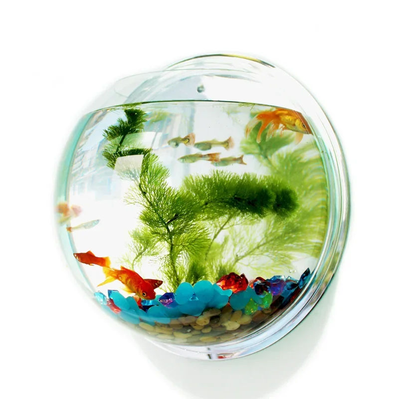 Aquarium Fish In Bowl - Pinsjar Acryl Fischschale Wandbehang Aquarium Tank