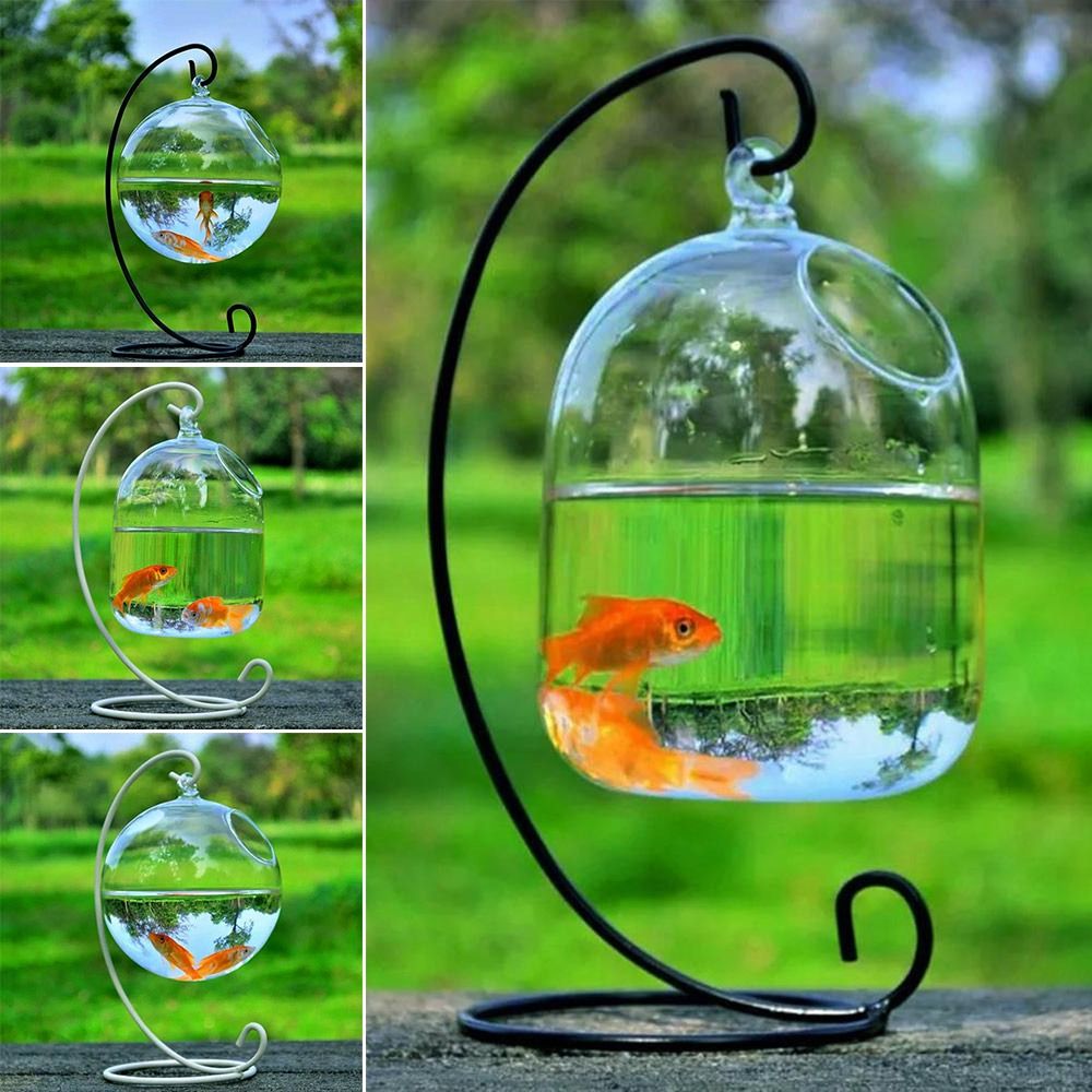 Aquarium Fish In Bowl - Aquarium-Dekoration Wandmontage mit Halterung Heimdekoration Fischbecken