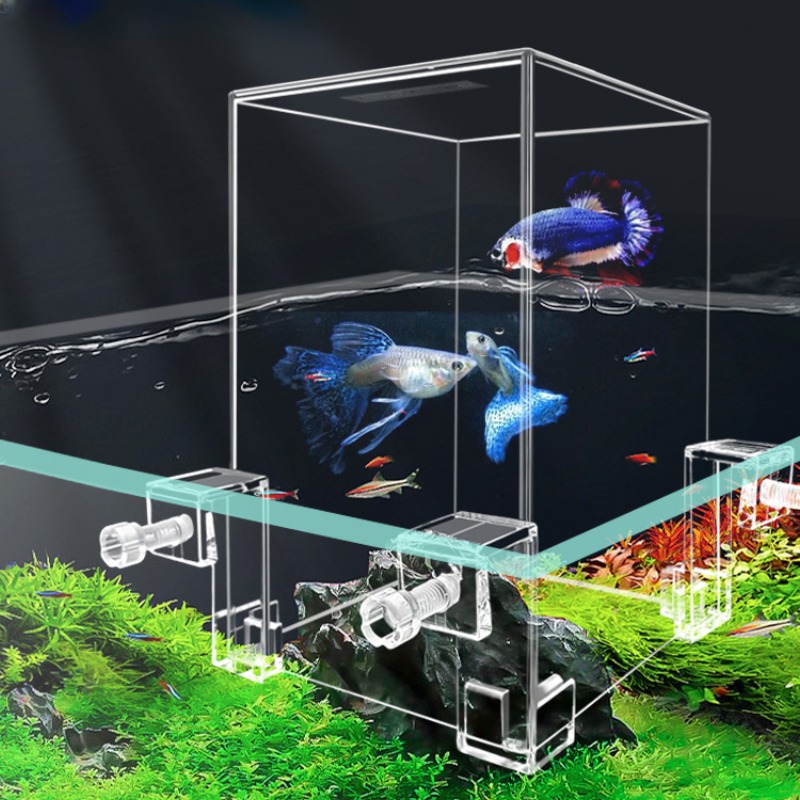 Aquarium Fish In Bowl - Kreative Aquarien Tanks Unterdruck Aquarium ökologische