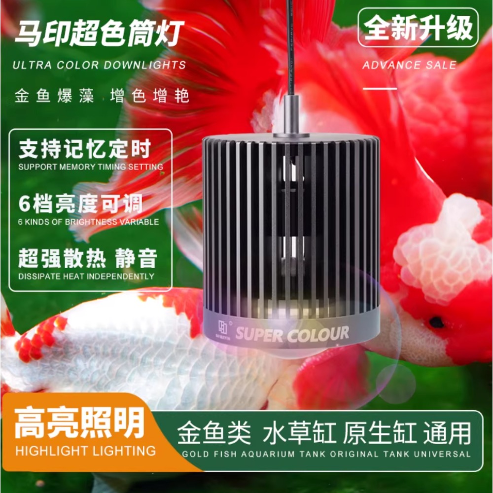 Mayin Super Color Aquarium 100 – Aquarium Fish Colour Bewertung und Preis