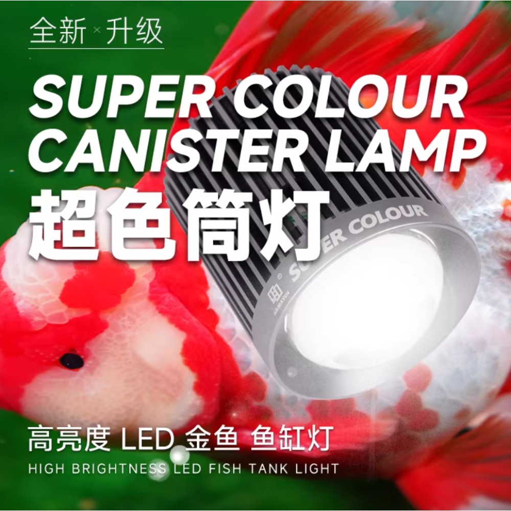 Mayin Super Color Aquarium 100 – Aquarium Fish Colour Bewertung und Preis