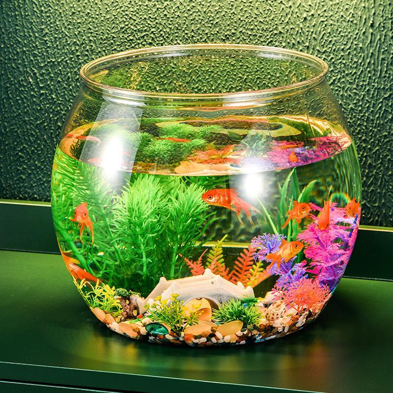 Klare Plastik-Fischschale, aus – Aquarium Fish In Bowl Bewertung und Preis