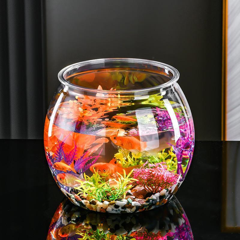 Klare Plastik-Fischschale, aus – Aquarium Fish In Bowl Bewertung und Preis