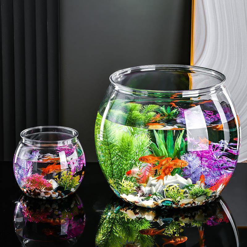 Klare Plastik-Fischschale, aus – Aquarium Fish In Bowl Bewertung und Preis