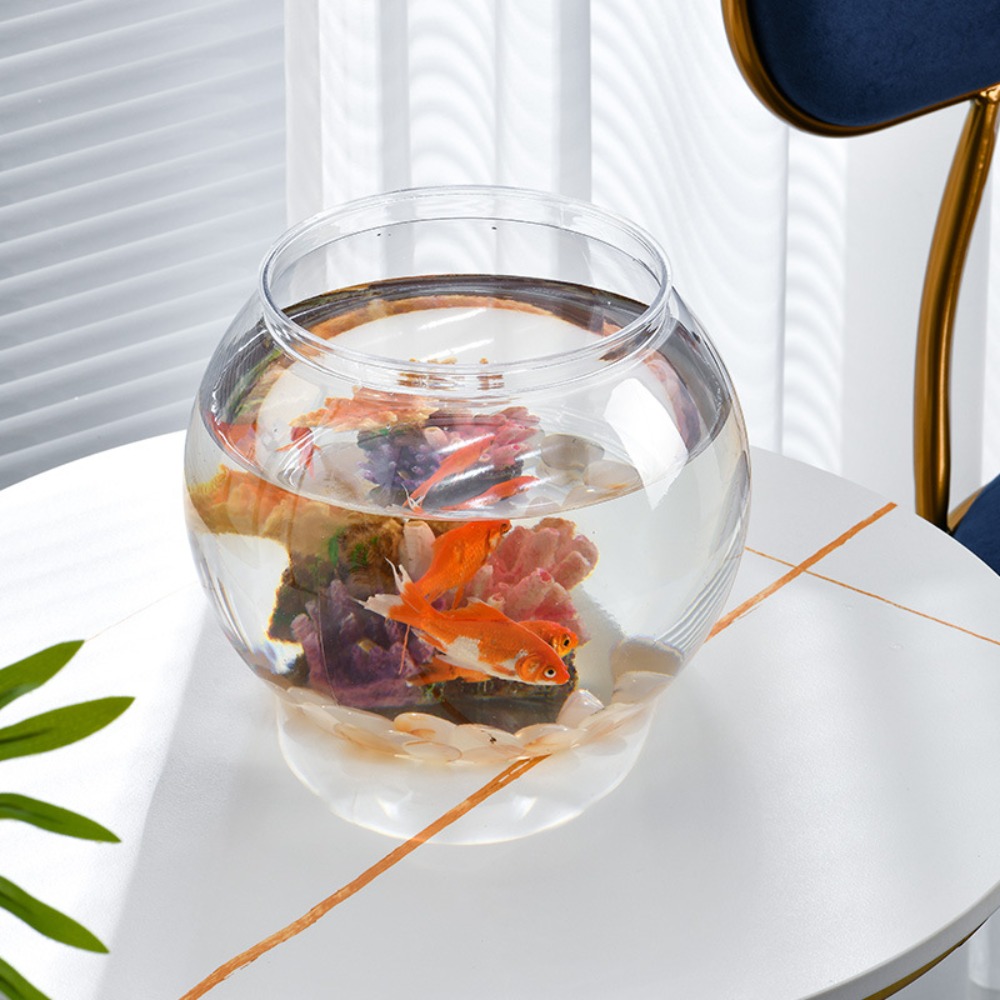 Transparentes rundes Fischbeck – Aquarium Fish In Bowl Bewertung und Preis