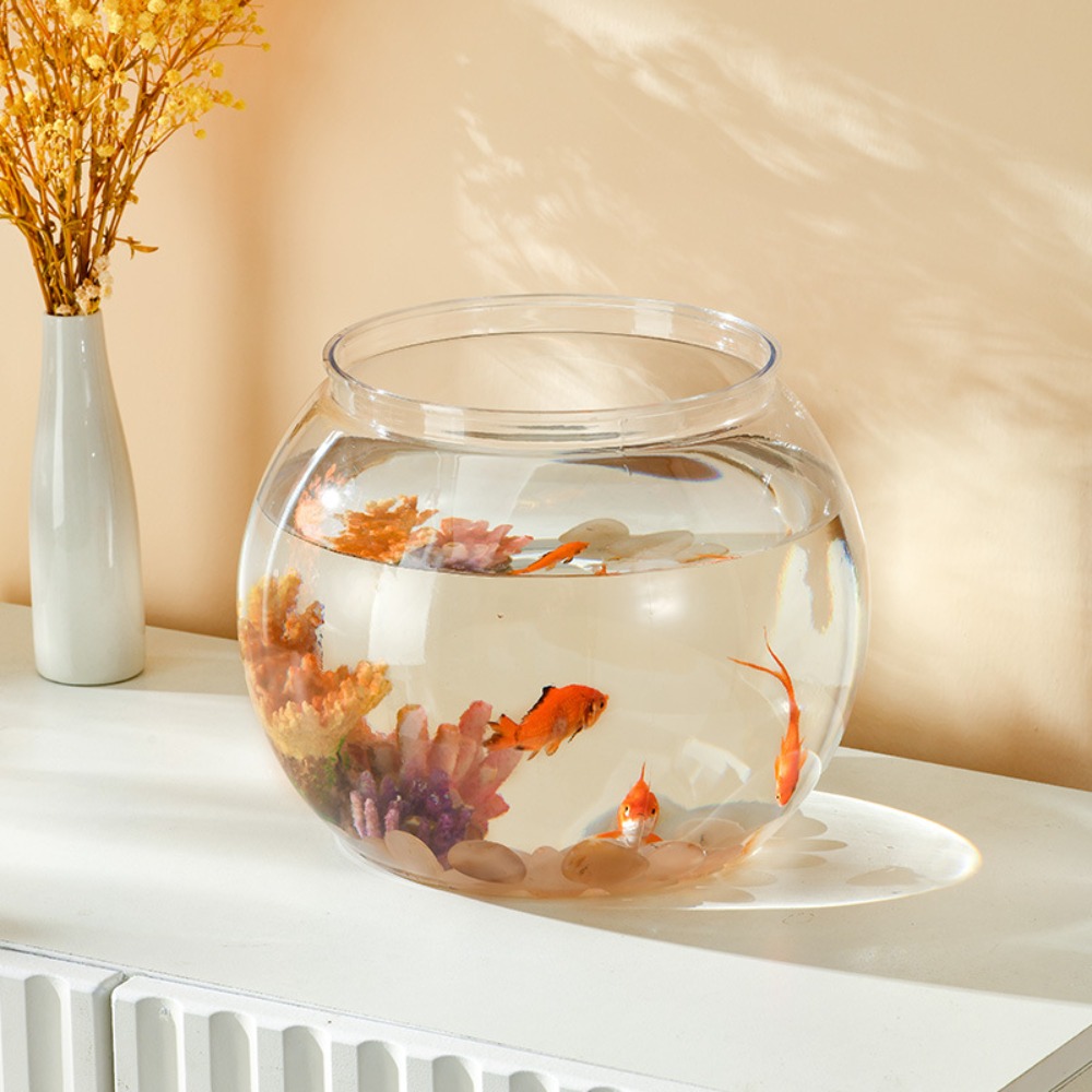 Transparentes rundes Fischbeck – Aquarium Fish In Bowl Bewertung und Preis