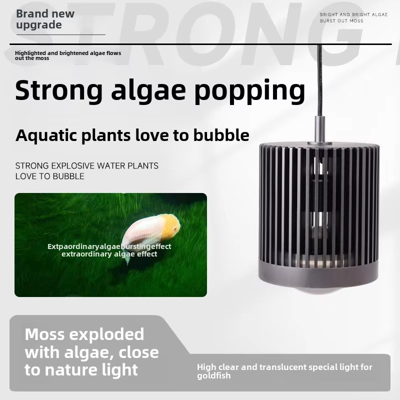 Skynuo Super Color 100W Süßwas – Aquarium Fish Colour Bewertung und Preis