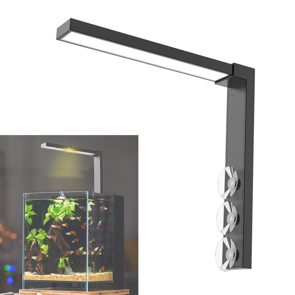 Abs kleine Fischs chale LED Li – Aquarium Fish In Bowl Bewertung und Preis