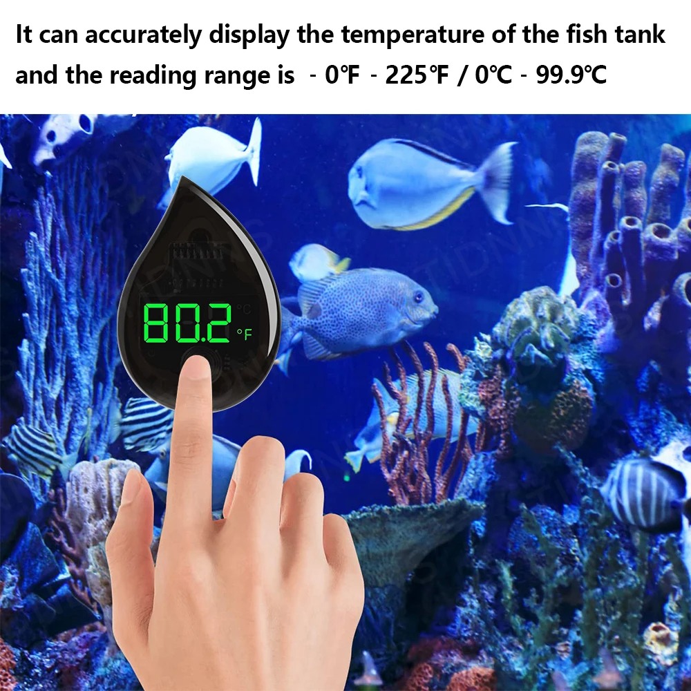 Aquarium Selbstklebendes Therm – Aquarium Thermometer Bewertung und Preis