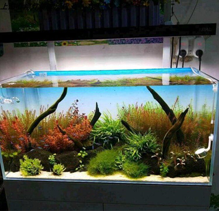 RGB Acryl-Aquarium-Hintergrund – Aquarium Fish Colour Bewertung und Preis