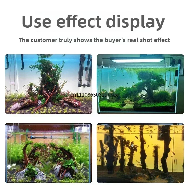 RGB Acryl-Aquarium-Hintergrund – Aquarium Fish Colour Bewertung und Preis
