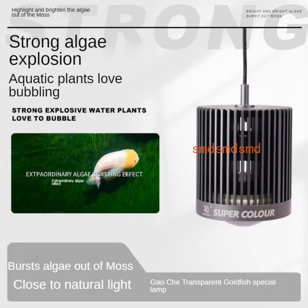 Super Color 100W Süßwasser-Gol – Aquarium Fish Colour Bewertung und Preis