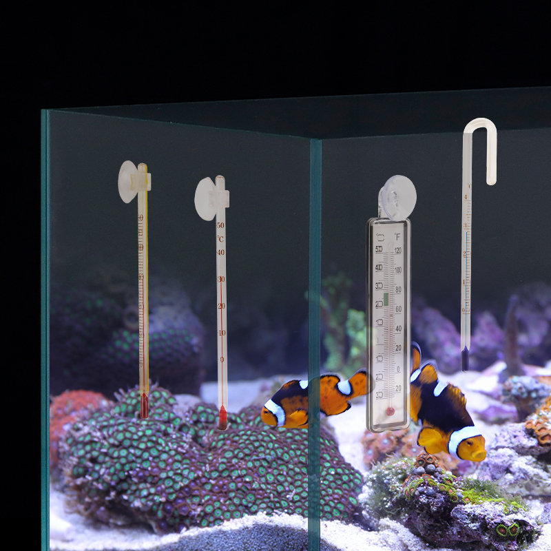 Digitales Aquarium-Thermometer – Aquarium Thermometer Bewertung und Preis