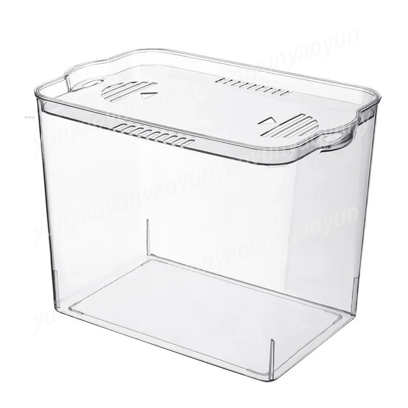 Transparente Kunststoff-Mini-F – Aquarium Fish In Bowl Bewertung und Preis