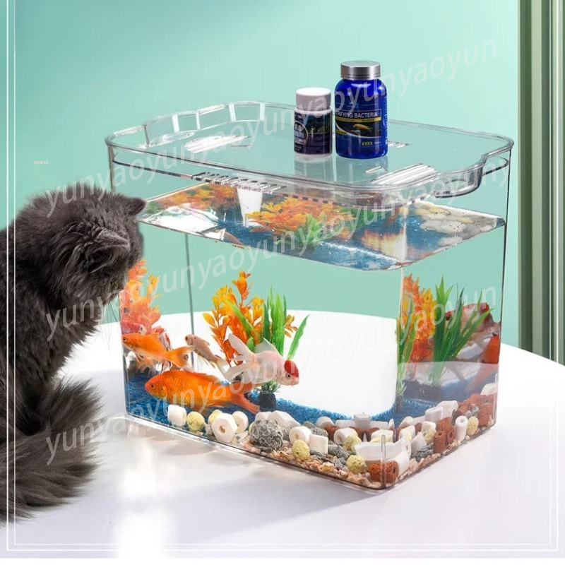 Transparente Kunststoff-Mini-F – Aquarium Fish In Bowl Bewertung und Preis