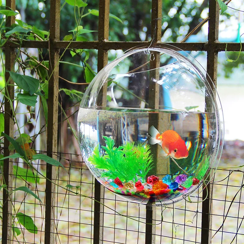 Pinsjar Acryl Fischschale Wand – Aquarium Fish In Bowl Bewertung und Preis
