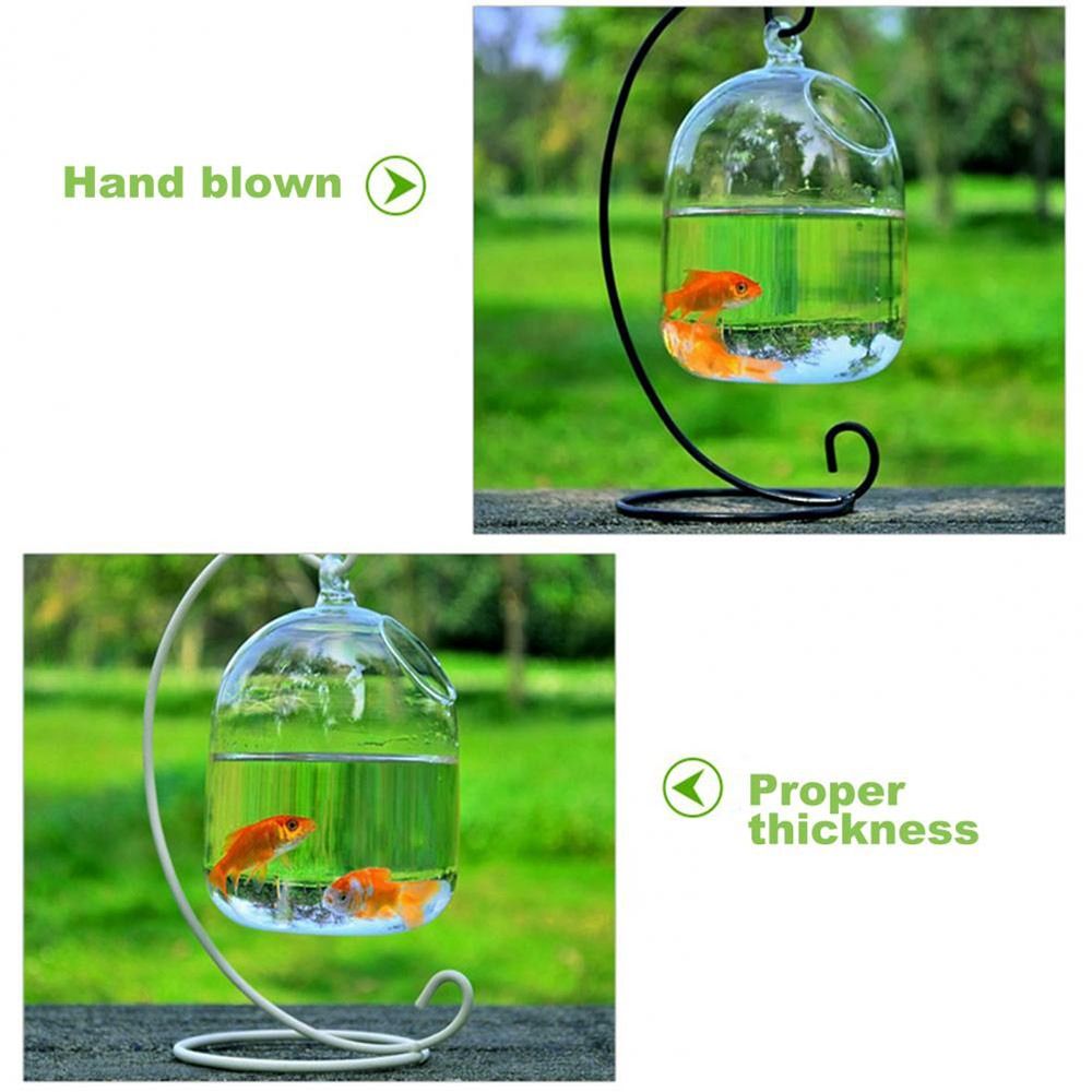 Aquarium-Dekoration Wandmontag – Aquarium Fish In Bowl Bewertung und Preis