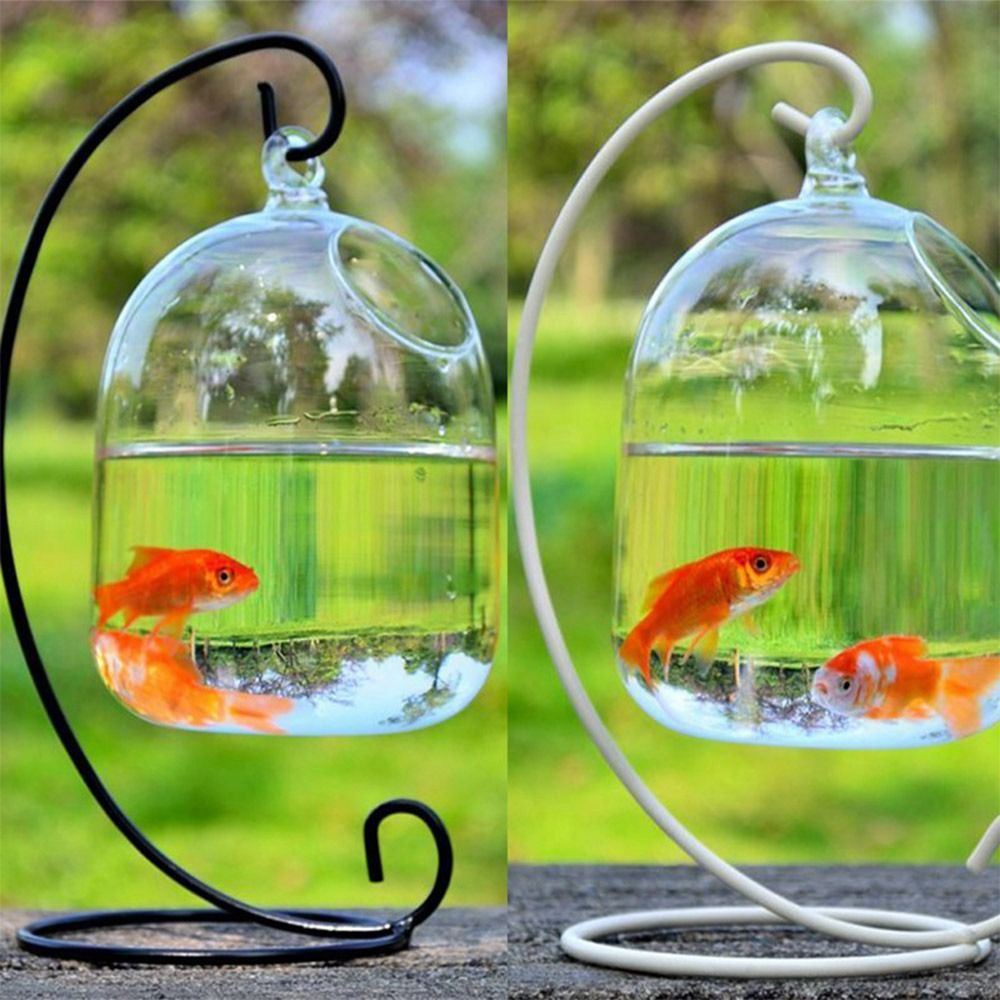 Aquarium-Dekoration Wandmontag – Aquarium Fish In Bowl Bewertung und Preis