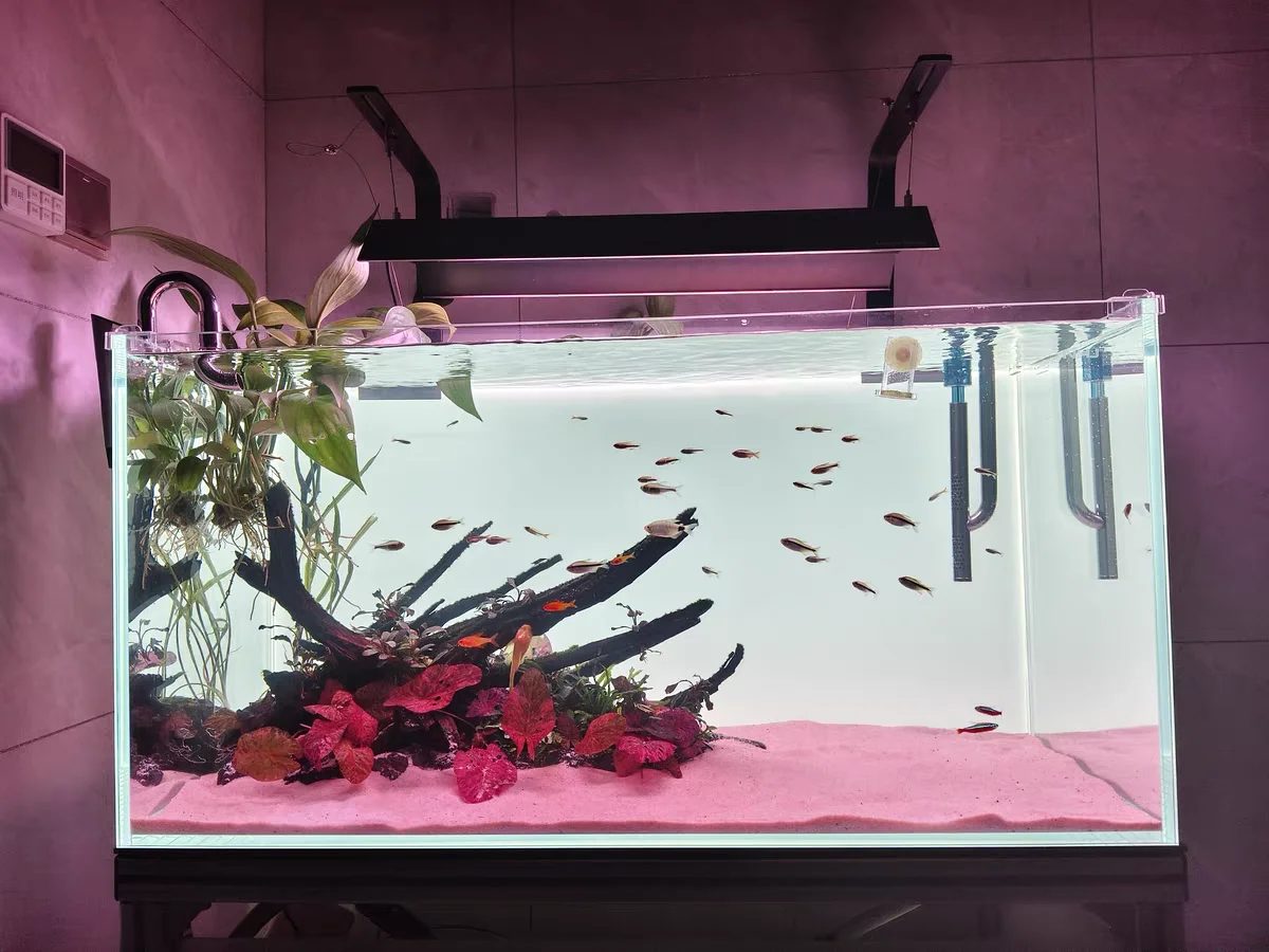 RGB Acryl-Aquarium-Hintergrund – Aquarium Fish Colour Bewertung und Preis