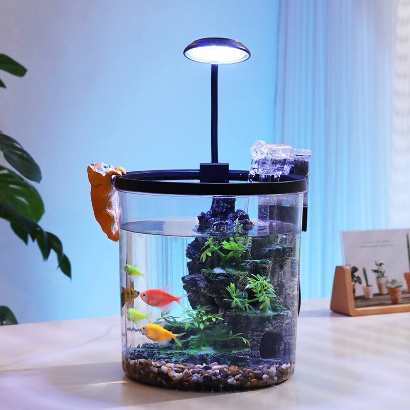 Kompakte runde Goldfischschale – Aquarium Fish In Bowl Bewertung und Preis