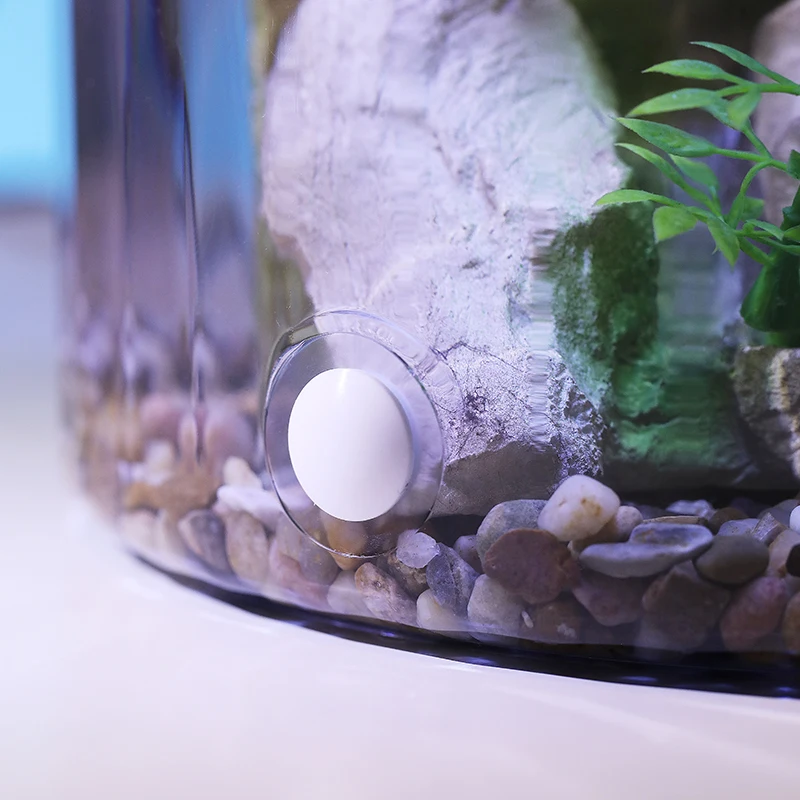 Kompakte runde Goldfischschale – Aquarium Fish In Bowl Bewertung und Preis