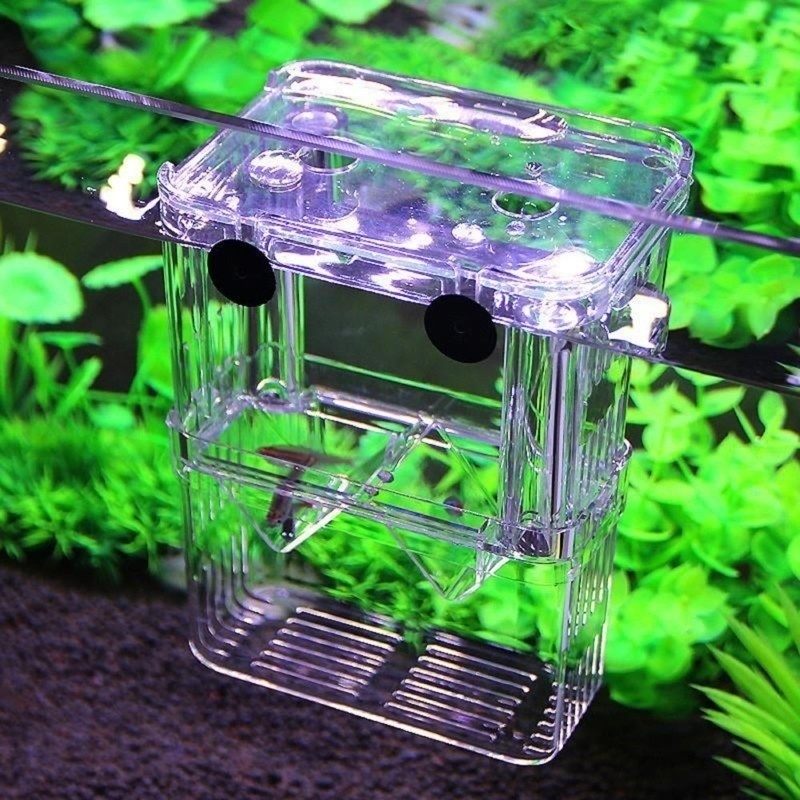 Multifunktionale Fisch Aquariu – Aquarium Fish In Bowl Bewertung und Preis