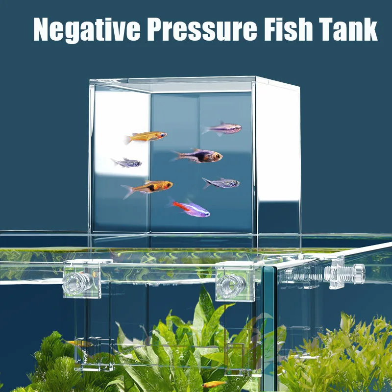 Kreative Aquarien Tanks Unterd – Aquarium Fish In Bowl Bewertung und Preis