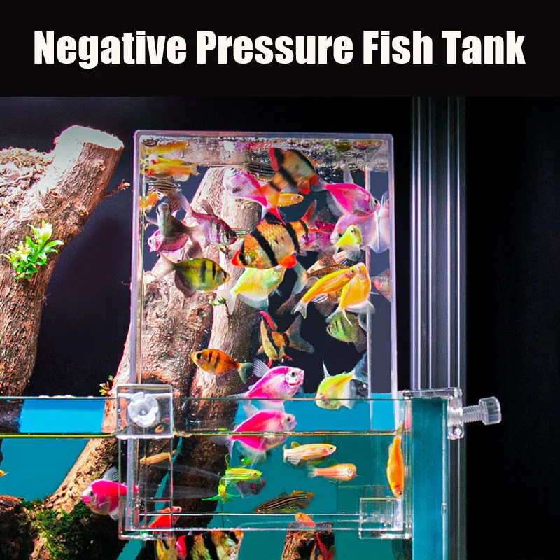 Kreative Aquarien Tanks Unterd – Aquarium Fish In Bowl Bewertung und Preis