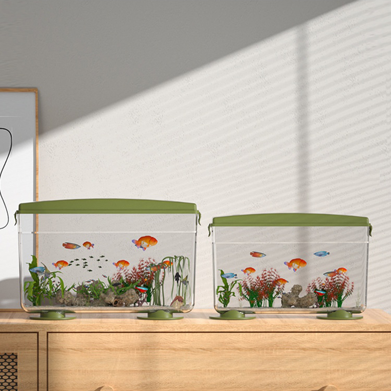 Kleines Fisch-Garnelen-Schildk – Aquarium Fish In Bowl Bewertung und Preis
