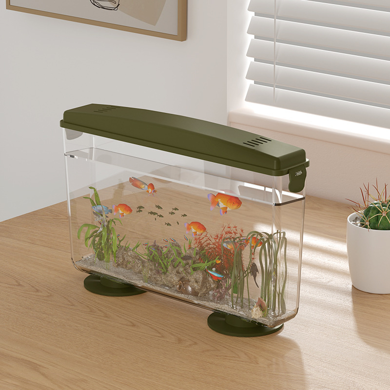 Kleines Fisch-Garnelen-Schildk – Aquarium Fish In Bowl Bewertung und Preis