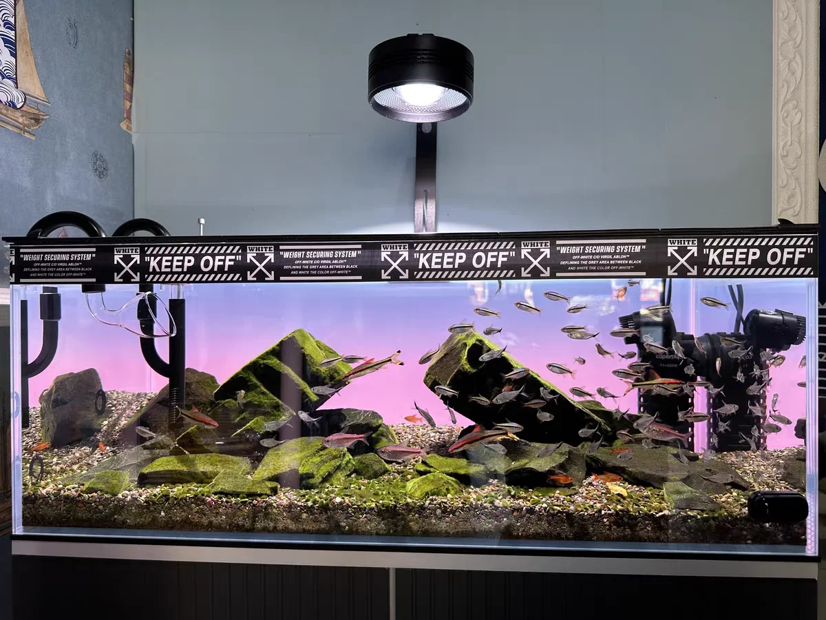 RGB-Acryl-Hintergrund für Aqua – Aquarium Fish Colour Bewertung und Preis