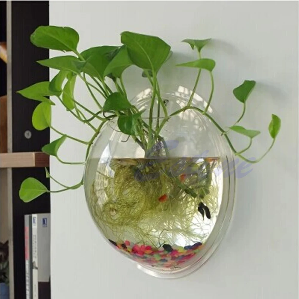 Topf Wandbehang Halterung Blas – Aquarium Fish In Bowl Bewertung und Preis