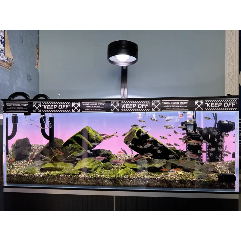 RGB Acryl-Aquarium-Hintergrund – Aquarium Fish Colour Bewertung und Preis