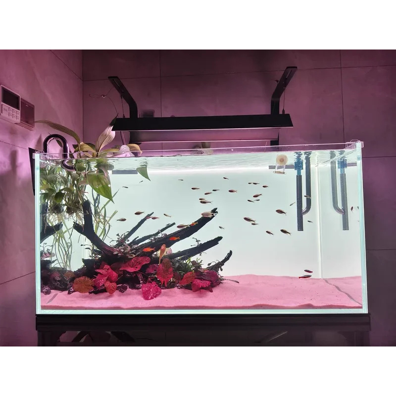 RGB Acryl-Aquarium-Hintergrund – Aquarium Fish Colour Bewertung und Preis