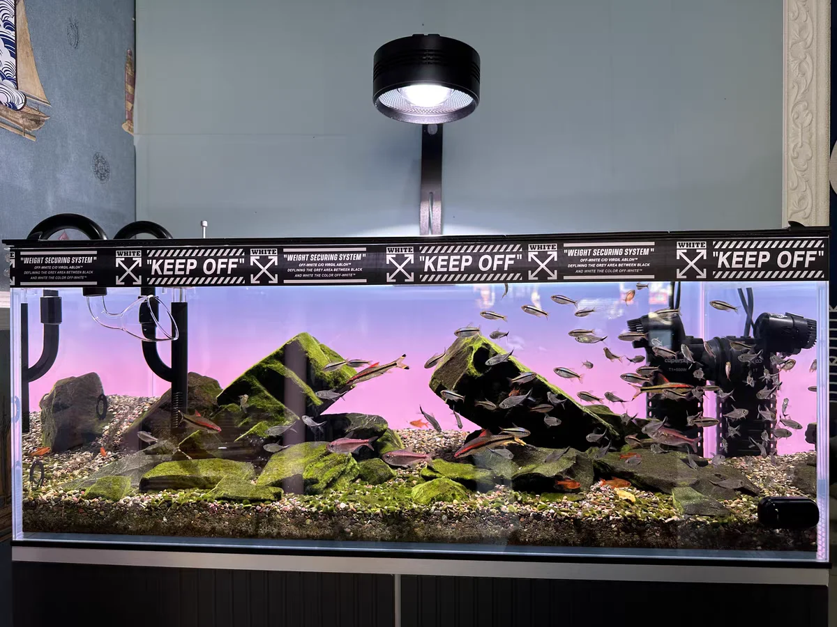 RGB-Acryl-Hintergrund für Aqua – Aquarium Fish Colour Bewertung und Preis