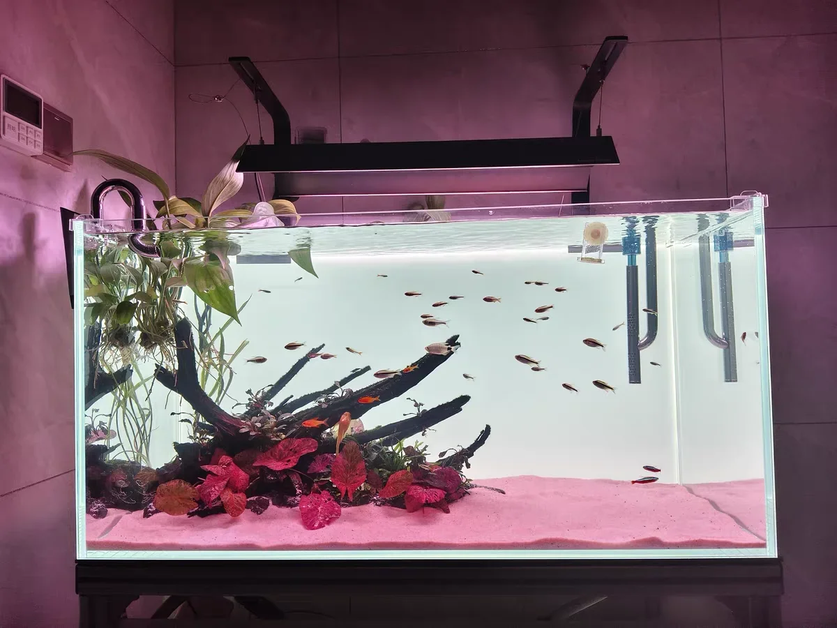 RGB-Acryl-Hintergrund für Aqua – Aquarium Fish Colour Bewertung und Preis