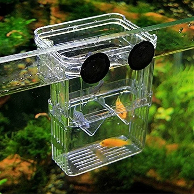 Multifunktionales Fischaquariu – Aquarium Fish In Bowl Bewertung und Preis