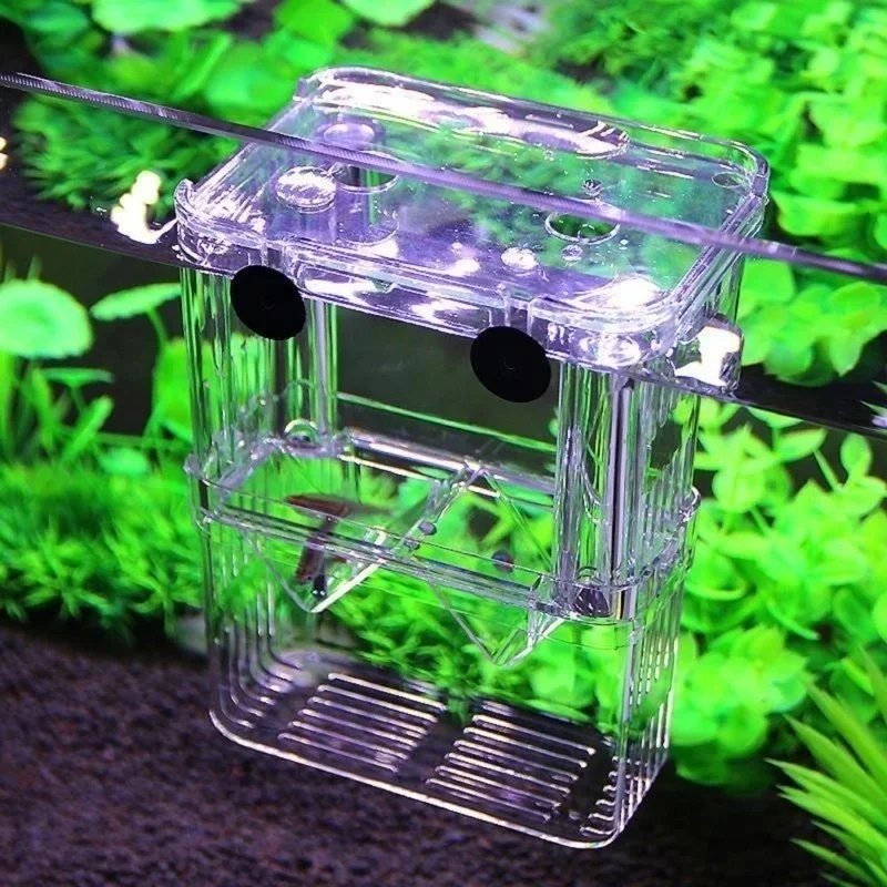 Multifunktionales Fischaquariu – Aquarium Fish In Bowl Bewertung und Preis