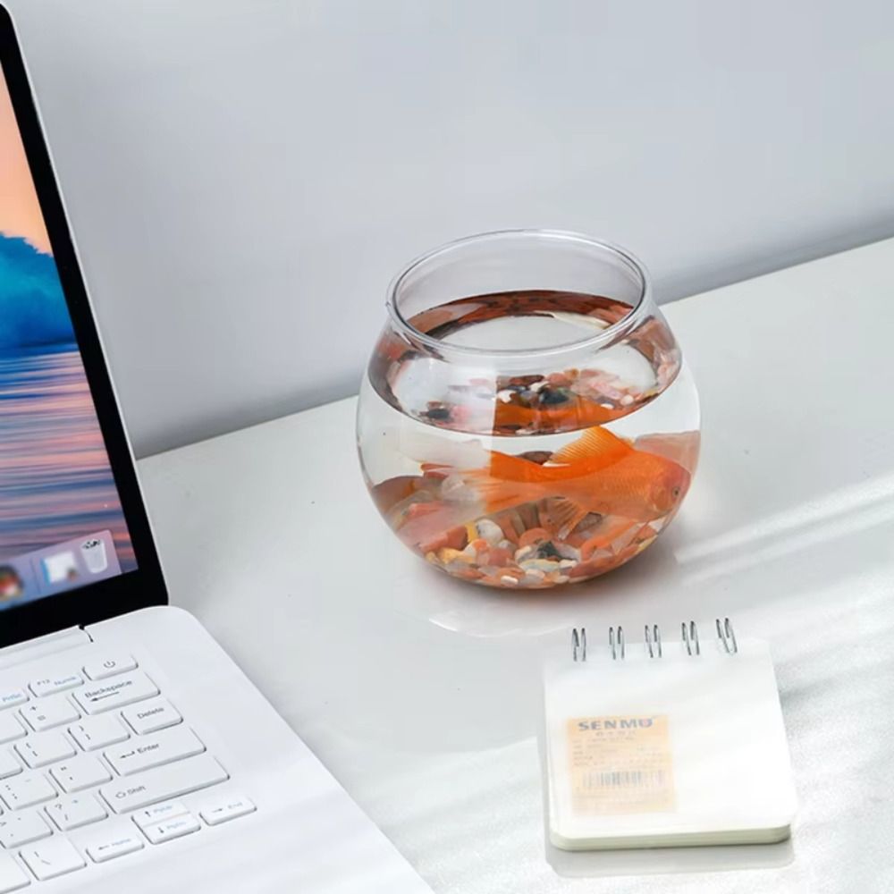 Neues transparentes Aquarium,  – Aquarium Fish In Bowl Bewertung und Preis