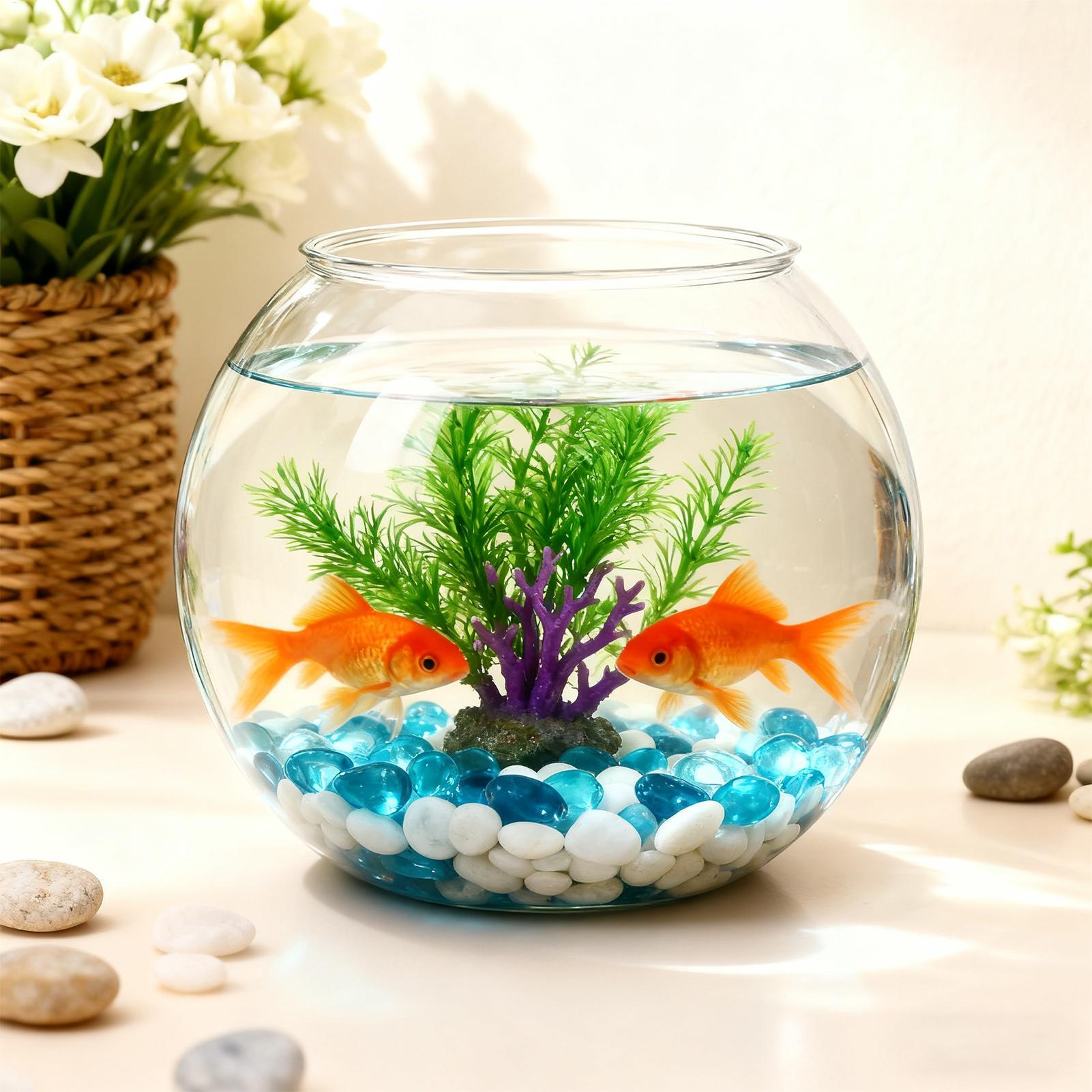 Bubble Bowl Platzsparendes Aqu – Aquarium Fish In Bowl Bewertung und Preis