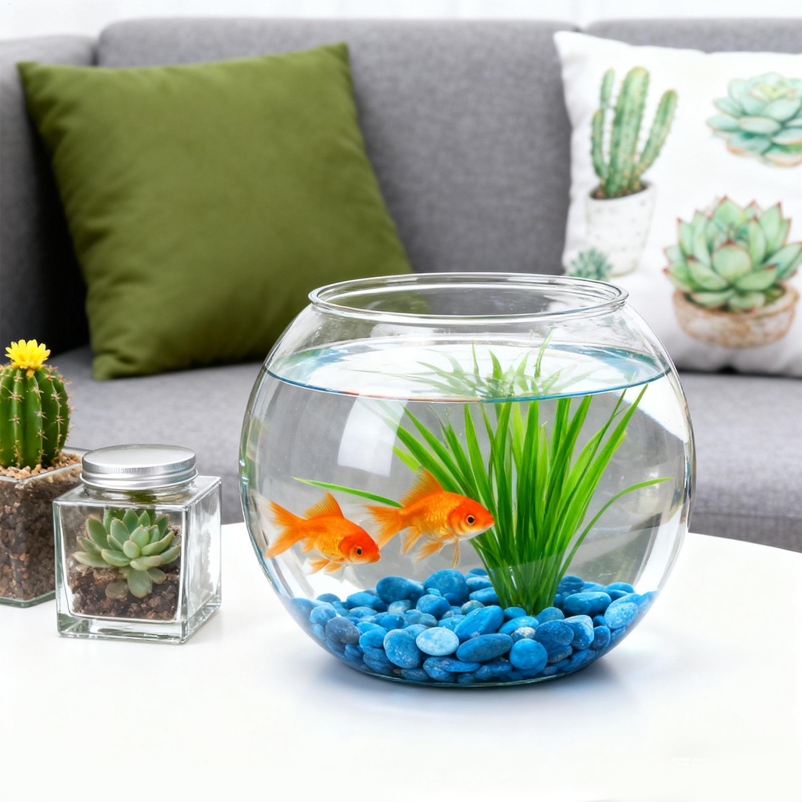 Bubble Bowl Platzsparendes Aqu – Aquarium Fish In Bowl Bewertung und Preis