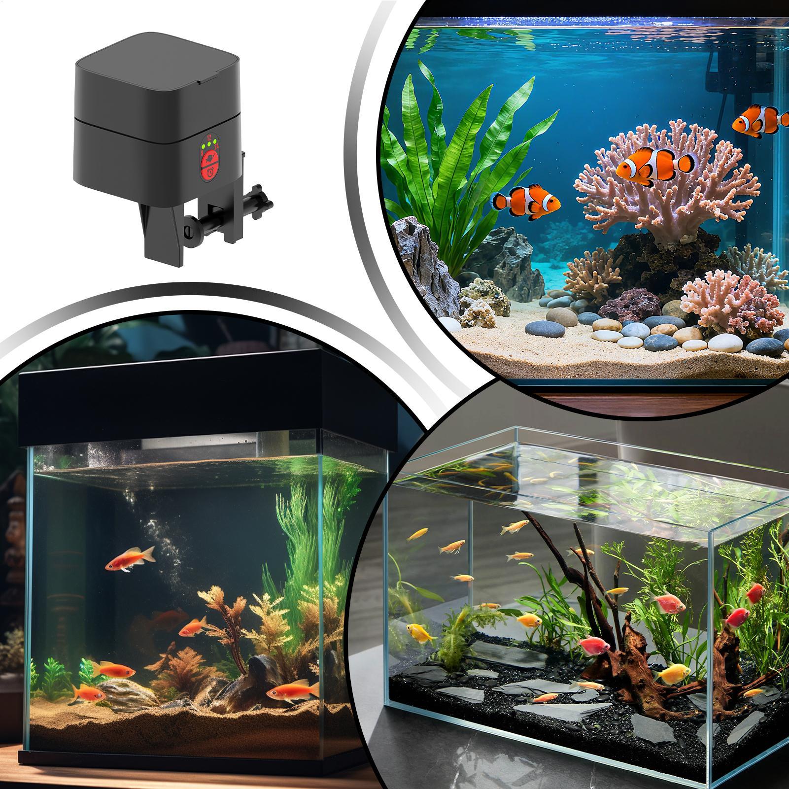 Automatischer Fischfutterspend – Aquarium Fish In Bowl Bewertung und Preis