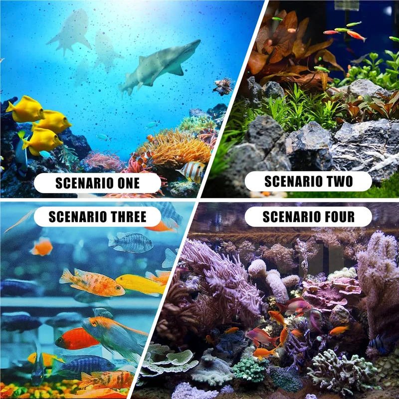Aquarium Korallen Simulation K – Aquarium Fish Colour Bewertung und Preis