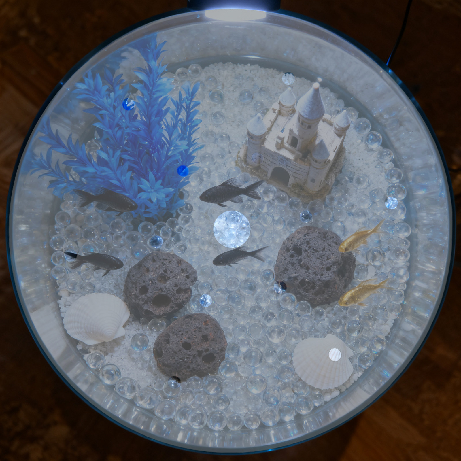 7 Zoll Runde Acryl-Aquariumabd – Aquarium Fish In Bowl Bewertung und Preis